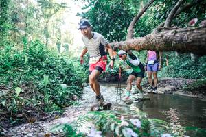 BIB: 
                            <button type="button" onclick="openModal(25432966)" class="btn btn-primary btn-sm float-right btn-popup" data-toggle="modal" data-target=".modal-high-quality">
                        <i class="fas fa-shopping-cart"></i> Add to Cart
                    </button>
                                            <button type="button" onclick="isThisMe(25432966, true)" class="btn btn-success btn-sm float-right btn-popup btn-isme hidden" data-toggle="tooltip" data-placement="bottom" title="นี่คือรูปของคุณใช่ไหม คลิกที่นี่เพื่อเอาเข้าอัลบั้ม">
                        <i class="fas fa-plus"></i> Add to album
                    </button>
                    <button type="button" onclick="isThisMe(25432966, false)" class="btn btn-warning btn-sm float-right btn-popup btn-isnotme hidden">
                        <i class="fas fa-ban"></i> Remove from album
                    </button>